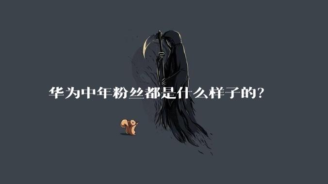 华为中年粉丝都是什么样子的？